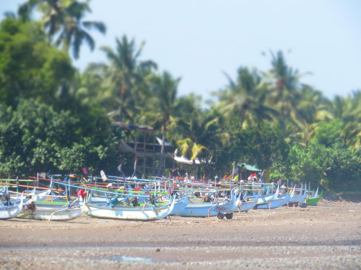 Kelapa Surf Villa Pulukan Exterior foto
